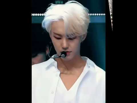 #kpop #kpopedit #shorts #seventeen #seventeenedit #carat 💎#hot #kwonsoonyoung #hoshi #horanghae 🐯🖤