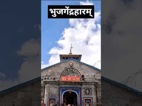 कर्पूर गौरम करुणावतारम मंत्र 🕉🔱 #youtubeshorts #lordshiva #power #om
