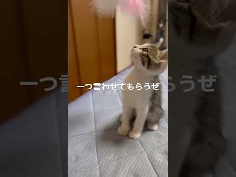じゃらしてるつもりが実は？？