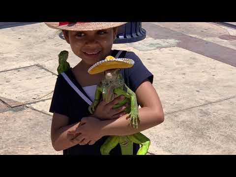 A short clip at Cabos San Lucas MX