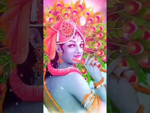 Jay shree Krishna 🌹🌹🌹