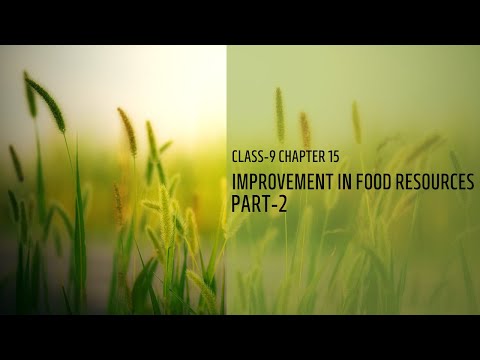 CLASS 9 | NCERT | CHAPTER 15 | IMPROVEMENT IN FOOD RESOURCES | PART 2