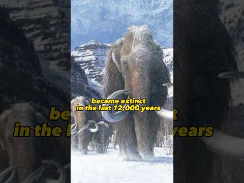 North American Mammals That Have Only Became Extinct In The Last 12,000 Years #history #ancient