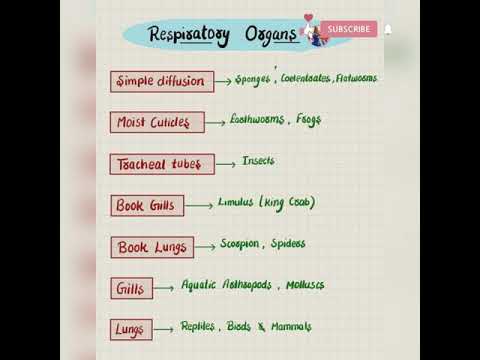 Respiratory organs  #shorts #facts #tricks  #neet  #neettips