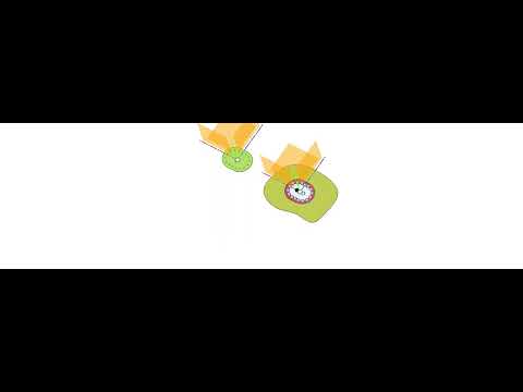 Fuel tank hatch animation