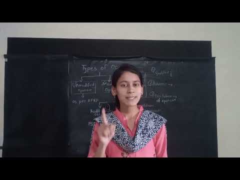 Ch8 Part2 Audit Report  #cainter          #caexam  #icaistudent #modifiedopinion #auditorsopinion