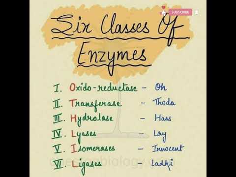 Trick to learn classes of enzymes 🤠 #shorts #neet #biology  #tricks #enzymes #biologyfacts #facts