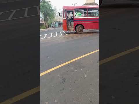 bus dj