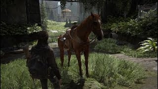 The Last of Us™ Part II All about exploring