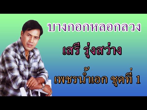 บางกอกหลอกลวง  - เสรี  รุ่งสว่าง 【 AUDIO】