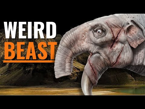 Prehistoric Giant Defies Elephant Knowledge | Deinotherium Documentary