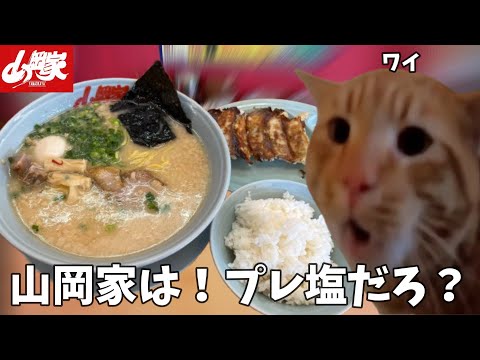 【山岡家】休日の朝は！やっぱプレ塩だよな！！餃子とライスも頼んで腹ドカ食い気絶だ！！という話【クセになる味】#猫ミーム  #猫マニ