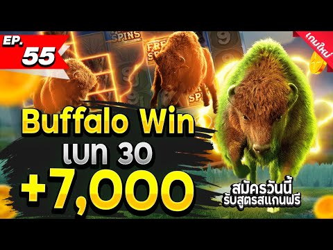 สล็อตทุนน้อย | สล็อตแตกง่าย | สล็อตออนไลน์| เกมใหม่pg | Buffalo Win เบท 30 แตกหนัก 7,000+
