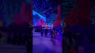 🌊 Seaworld Yas Island, Abu Dhabi #seaworldabudhabi #seaworld #marinelife #inabudhabi