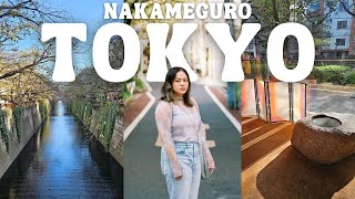 Tokyo's Trendiest Neighborhoods: Nakameguro, Daikanyama, Ebisu 🇯🇵 Japan Shopping Vlog 2023