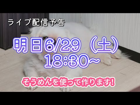 【予告📢】明日6/29(土)18:30~ライブ配信します！🎐