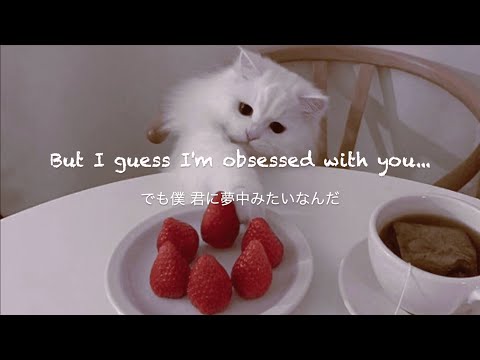 Obsessed - Ayumu Imazu [和訳]