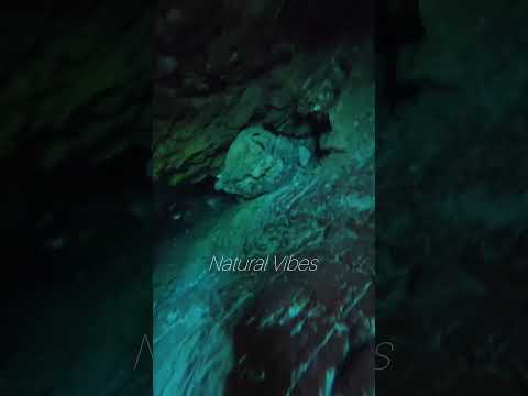 Underwater Cliff Climbing POV Adventure Dive #underwater #deepdive #exploration #povadventure