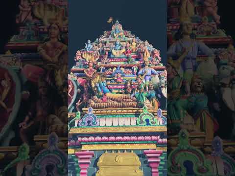 🙏🏼OM NAMMO NARAYANA/VISHNU #devotional #untitledtubedev#devtional_status #tamildevotionalsongs