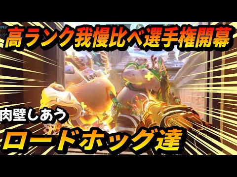 高ランク我慢比べ選手権開幕!!肉壁しあうロードホッグ達(TOP500 TORB)