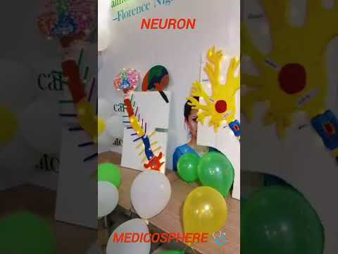 Practical anatomy of organs #3d #anatomy #science #medical #3d animation #nurse