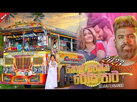 තොල් පෙත්ත රෝසපාට Bus dj remix || Thol peththa rosa pata || 2023 New song || VP GAMING