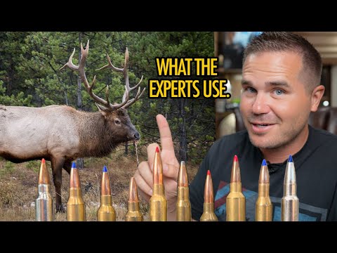 10 Best Cartridges for Elk: Voted by the experts!