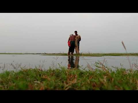 Unique Underwater Fishing | Best Fish Catching | Best Fishing Video