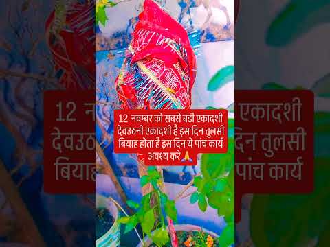 12 नवम्बर को देवउठनी एकादशी है इस दिन तुलसी बियाह भी हैरिस दिन यह पांच उपाय जरूर करे #upay #hinduf