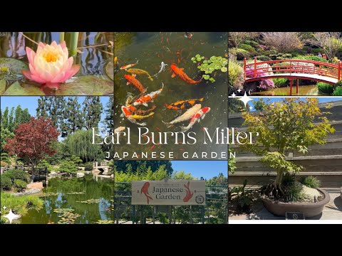 🌸 Earl Burns Miller Japanese Garden, Long Beach.