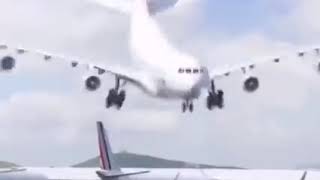 423
