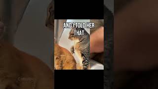 🗣️🗣️ JUST TRYNA STAY UP 🔥 🔥  #catedit #catcore #catcontent  #Shorts