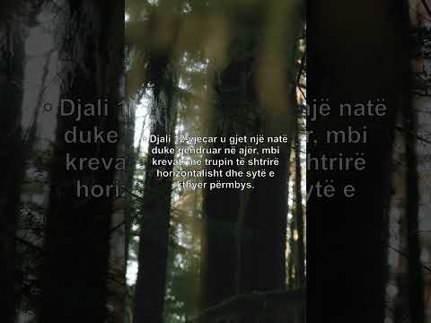 Shtëpia e ngritjes në ajër – Mat, 1991 #shorts #story