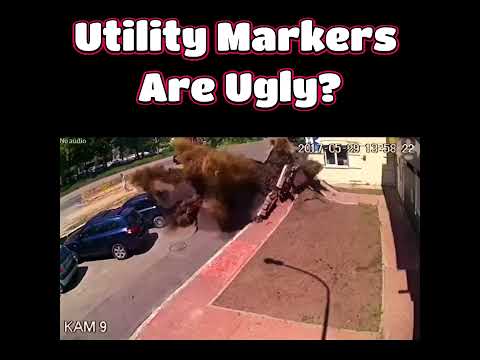 Utility Markings Are Ugly YT #governance #icma #leadership #localgov #icma2025 #utilities
