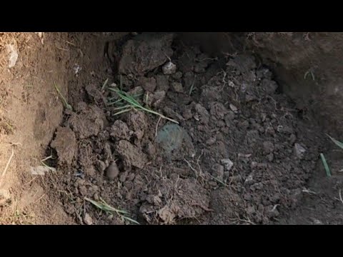 Large green, silver and gold!  southern Ohio metal detecting