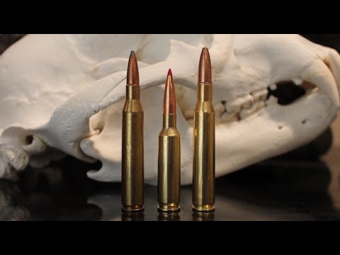 6.5 Creedmoor vs 270 vs 25-06: The Results Might Surprise You