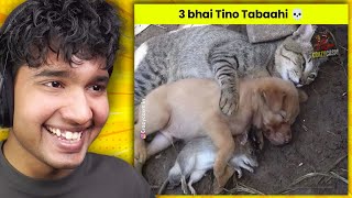 FUNNIEST SCHOOL LIFE & KIDS MEMES😂