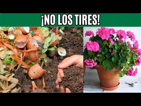8 FERTILIZANTES CASEROS QUE HACEN MILAGROS EN TUS PLANTAS