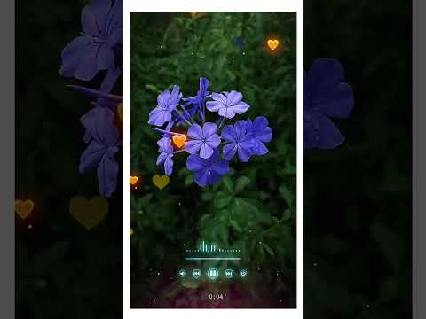 Mera Peyar Tera Peyar 💞 #arjitsingh #watsapp_status #youtubeshorts #shortvideo #viralvideo #shorts