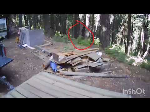 Bigfoot, maybe?? in the mountains on a day trip with family. Drone footage when we first got there.