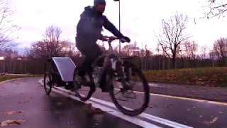 Велотрейлер Thule Chariot lite (обзор, отзывы)