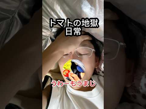 最近のトマトの日常。#日常 #vlog #勉強