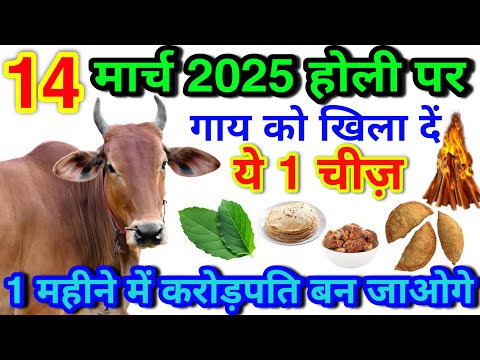 14 मार्च 2025 होली के दिन चुपचाप गाय को खिला दें एक चीज एक महीने में करोड़पति बन जाओगे।