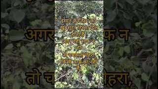 Hanuman ji ka mantra🙏#108mantrajaap #hindumantra #trending #trendingshorts