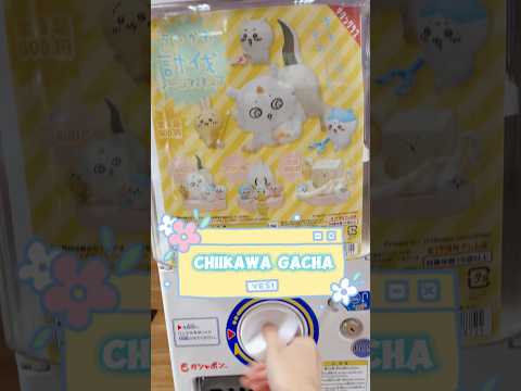 Chiikawa 🩵🤍Gacha in Japan ちいかわ