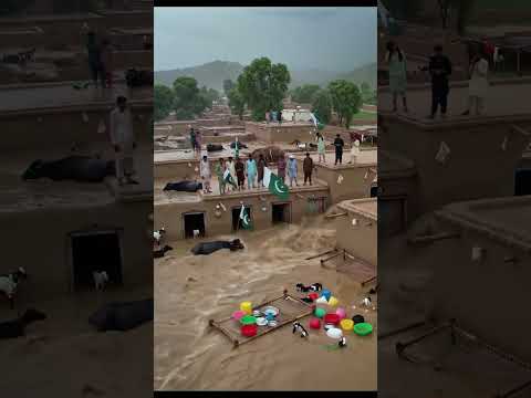 A Massive Flood in a Village 🌊😭#yt #ytshorts #villagerlifestyle #youtubeshorts #vedioviral #plzsub