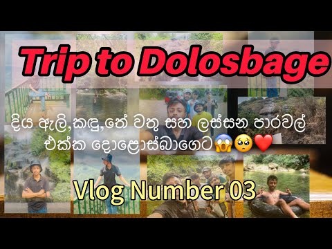 දොලොස්බාගෙ ගිය හැටි 😱😩🥺 #dolosbage 