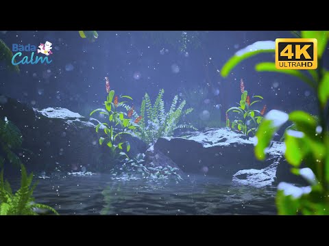 [4K] Emotion Soothing Meditation for Kids | Dreaming Together | Badanamu Calm