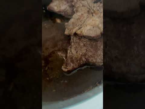 TQM mi gatita #fuerzaregida #carneasada #foodporn #dog #gato #cat #mexico