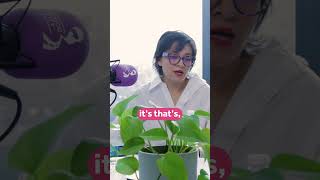 Surrogacy & Abortion Laws in Mexico Explained 🇲🇽